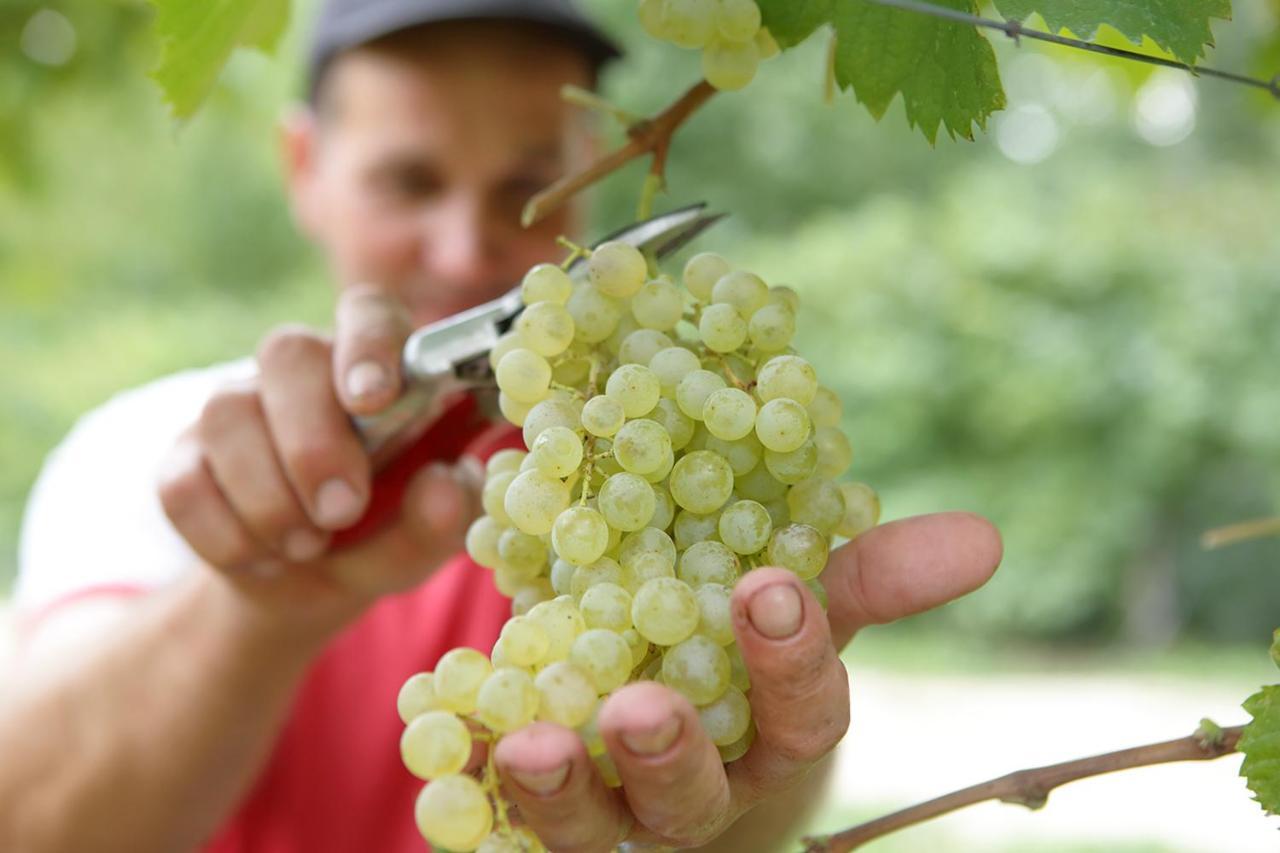 Tenuta Santome Biancade Dış mekan fotoğraf